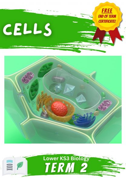 Term 2: Cells
