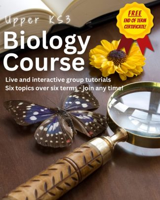 Upper KS3 Biology Course Thursday 10.30am